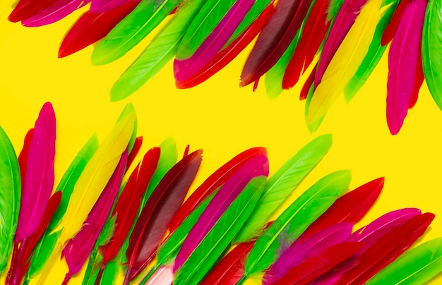 plumes colorées sous la forme d'une bordure isolée sur fond jaune