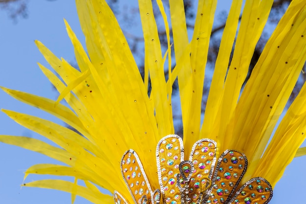 Plumes jaunes des participants au festival du défilé du carnaval