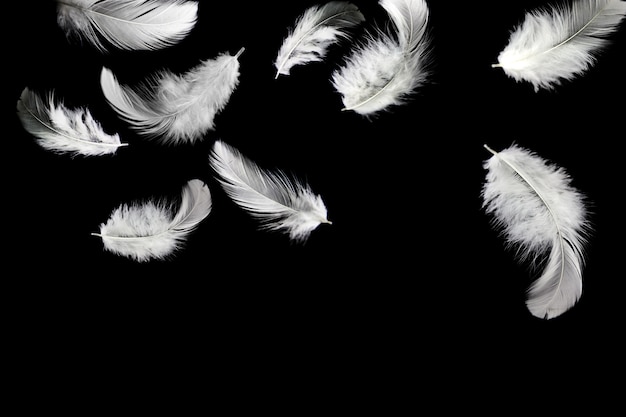 Plumes d&#39;oiseaux blancs abstraits tombant dans l&#39;obscurité