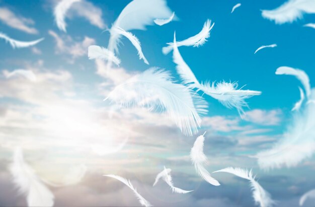 Plumes d'oiseaux blancs abstraits volant dans le ciel Plumes flottant dans le paradis
