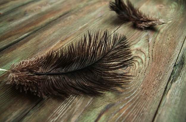 Photo plumes d'oiseaux noirs sur une vieille table en bois copie espace. plumes d'autruche