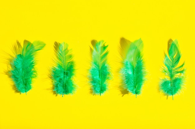 Plumes vertes brillantes sur fond jaune. vue d'en-haut.