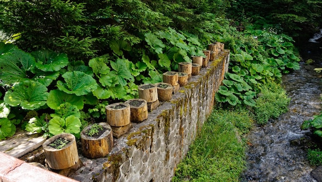 La plus belle nature roumaine