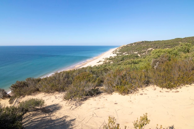 L'une des plus belles plages d'Espagne, appelée (El Asperillo, Doñana, Huelva) en Espagne.