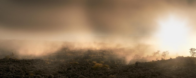 Le plus grand volcan du monde Mauna Loa à Hawaï Big Island Hawaii USA Mauna Loa est toujours le plus grand volcan actif sur Terre Les volcans boucliers hawaïens sont les plus grandes montagnes de la Terre