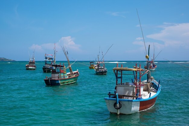 Plusieurs bateaux locaux traditionnels pour attraper du poisson dans la baie de Weligama