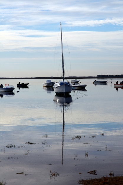 Plusieurs bateaux ont atterri tôt le matin à terre.