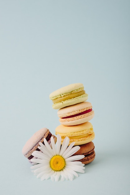 Plusieurs gâteaux macarons colorés