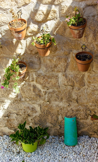 Plusieurs jardinières avec des plantes méditerranéennes