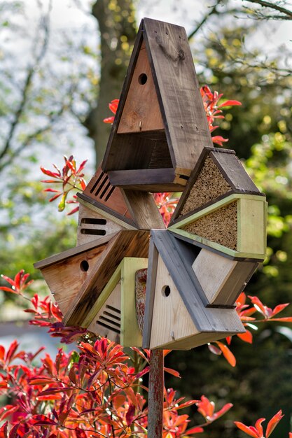 Plusieurs nichoirs et une mangeoire pour oiseaux sur un bâton