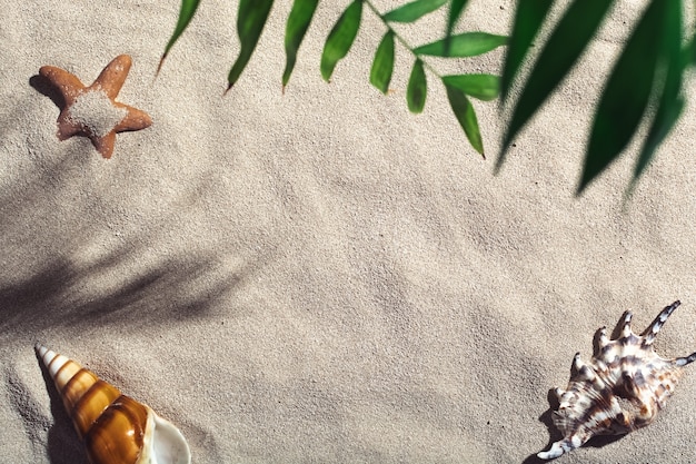 Plusieurs objets marins se trouvent sur la plage de sable sous les feuilles d'un palmier