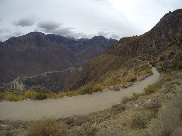 Plusieurs Pentes Dans La Descente Trekking Dans Le Canyon De Colca Arequipa Pérou