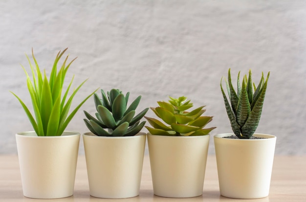 Plusieurs petits pots avec des plantes succulentes artificielles sur une table lumineuse ou une étagère contre le mur dans la chambreCopie de l'espace