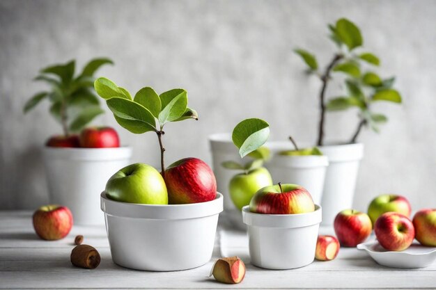 plusieurs pots blancs avec des pommes et une plante en eux