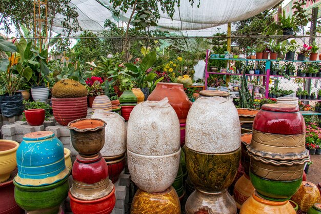 Plusieurs pots en céramique à côté de plantes ornementales et de fleurs à l'intérieur d'une pépinière