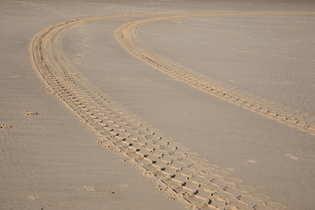 Le pneu trace la voiture sur la plage sablonneuse