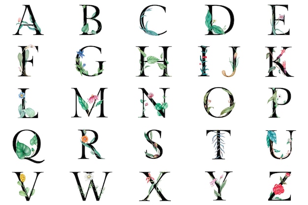 Png alphabet set botanique à l'aquarelle colorée typographie