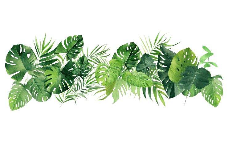 Photo png feuilles tropicales à l'arrière-plan végétal vert