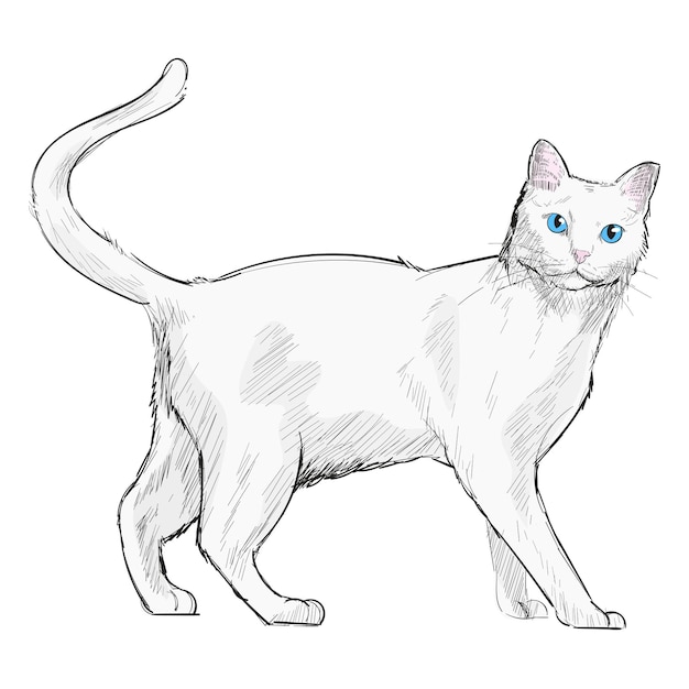 Png Khao Manee illustration d'un chat ou d'un animal à fond transparent