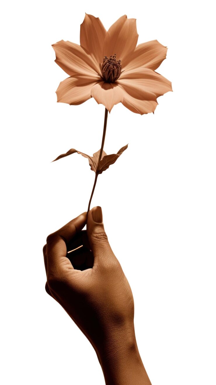 Photo png la main tenant un pétale de fleur photographié au doigt