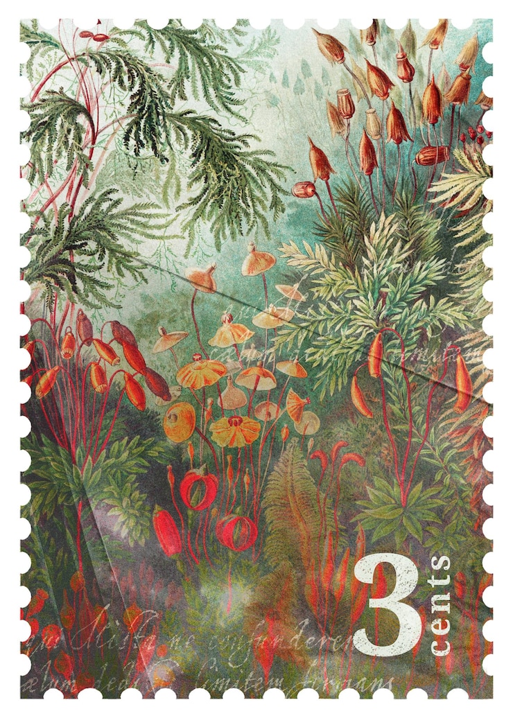 Photo png timbres-poste vintage mousses design élément de collage esthétique fond transparent remixé par rawpixel