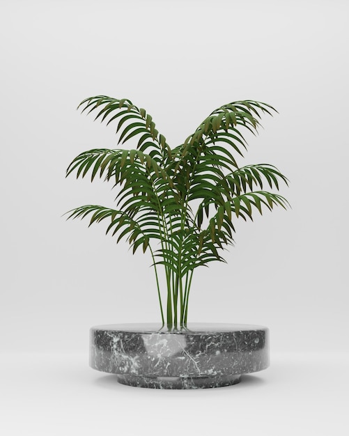 Podium 3D Blanc avec Marbre et Plante