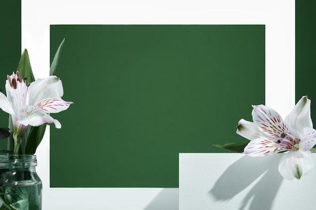 Podium blanc haut de gamme sur fond vert avec fleurs blanches et ombres Maquette pour la présentation de produits cosmétiques