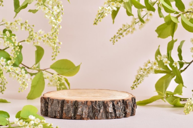 Podium en bois avec une branche de cerisier en fleurs sur fond beige Le socle est en bois naturel Présentation des écoproduits