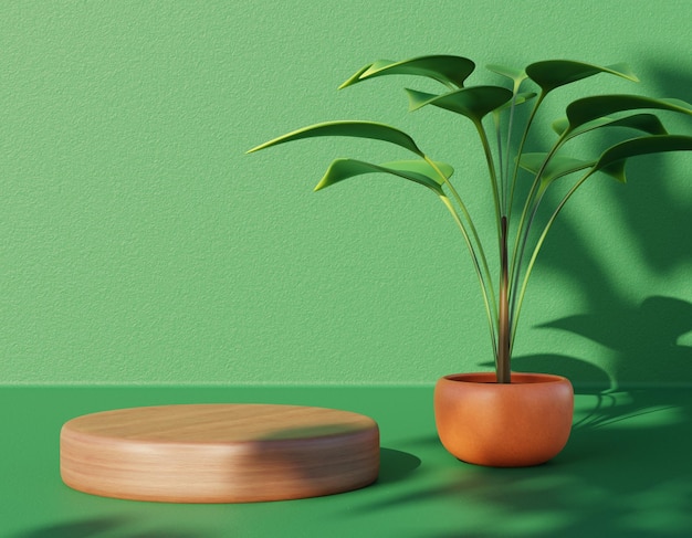 Podium en bois avec plantes en pots