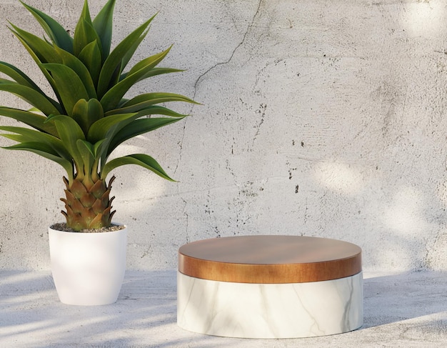 Podium en bois avec plantes en pots