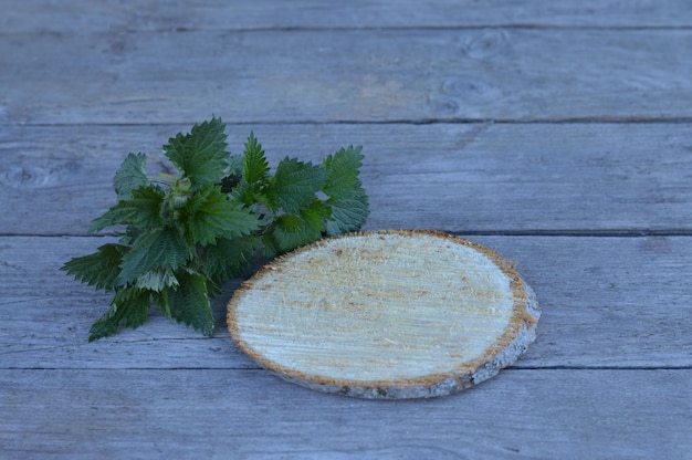 Podium en bois pour produits cosmétiques Herbes médicinales pour la santé et la beauté soins de la peau et traitement capillaire