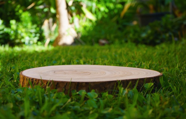 Podium de jardin Tronc d'arbre fond vert