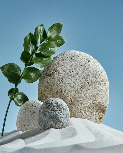 Podium en pierre ronde sur fond bleu dans le sable avec une branche de pierre de sable du ciel végétal avec des feuilles