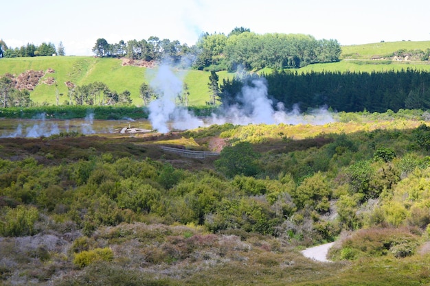 Photo pohutu geyser dans la vallée thermale de whakarewarewa rotorua dans l'île du nord de la nouvelle-zélande pohutu