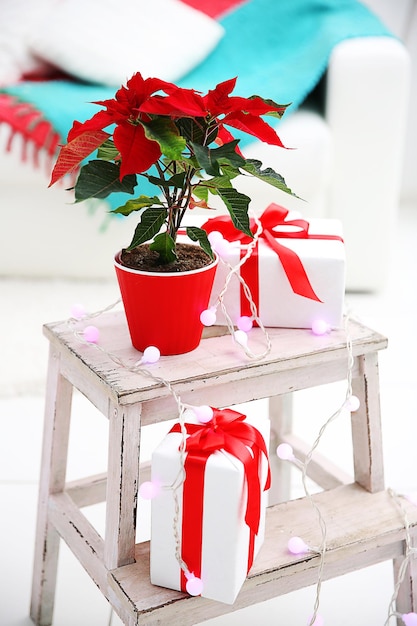 Poinsettia de fleurs de Noël et décorations sur échelle décorative avec décorations de Noël, sur fond clair