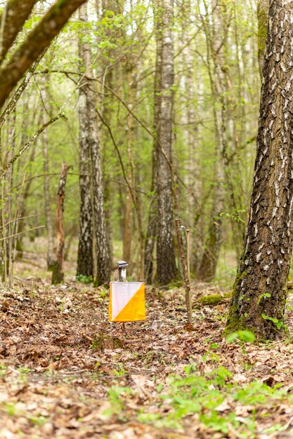 Point de contrôle d'orientation Prisme et composteur électrique pour l'orientation dans la forêt de printemps