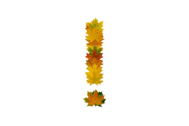 Point d'exclamation de feuilles d'érable d'automne isolés sur fond blanc. Alphabet de feuilles vertes, jaunes et oranges.