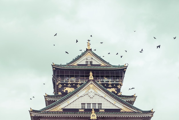 Photo point de repère du japon: le château de himeji, un site du patrimoine mondial de l'unesco, millésime