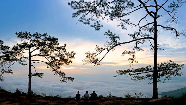 Point de vue au parc national de la Thaïlande