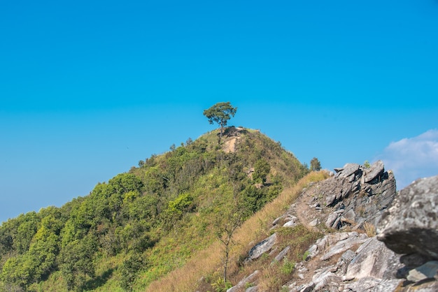 Point de vue de Doi Pha Tang, une attraction touristique dans le district de Wiang Kaen, dans la province de Chiang Rai, en Thaïlande.