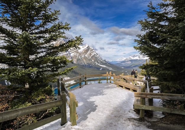 Point de vue du lac Peyto avec les montagnes Rocheuses canadiennes en Alberta, Canada