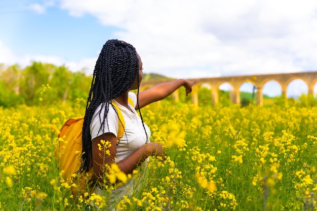 Pointant vers un bel aqueduc une fille ethnique noire avec des tresses un voyageur dans un champ de fleurs jaunes