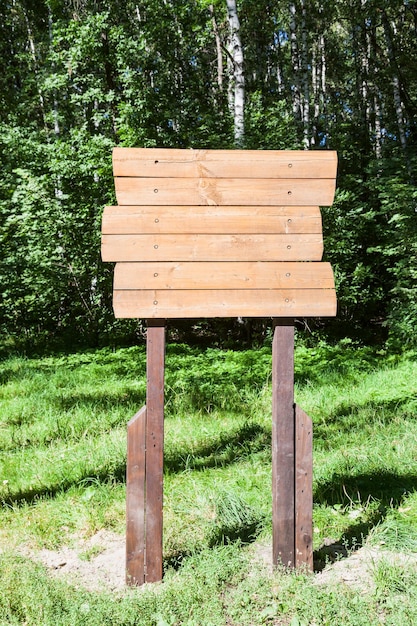 Pointeur En Bois En Forêt En été