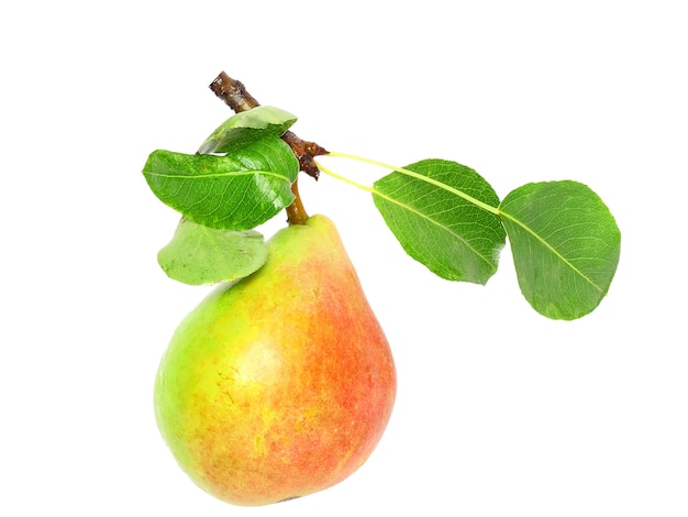 Poire unique avec tige et feuille verte. Isolé sur blanc.