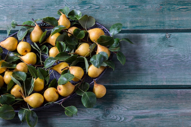 Poires Jaunes Mûres Dans Un Vase Ancien Et Branches De Poire