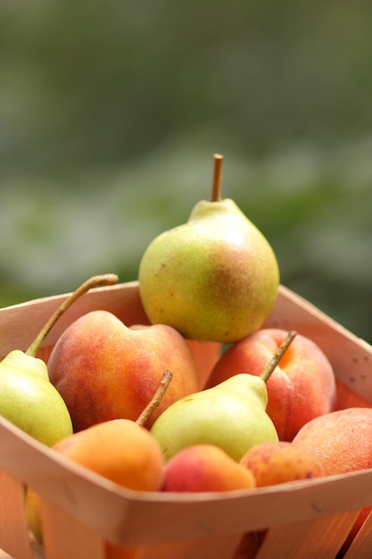 Poires, pêches et abricots dans un panier en bois sur un arrière-plan flou Fruits juteux mûrs dans un panier en gros plan