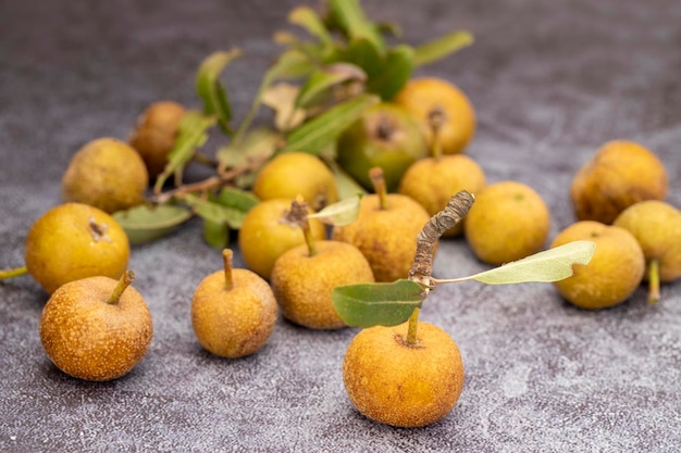 Poirier sauvage (également connu sous le nom de Pyrus pyraster, pyrus elaeagrifolia, poirier de conifères); Nom turc poire Ahlat