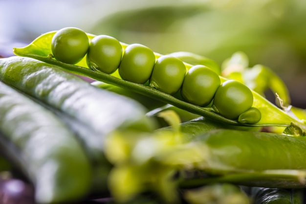 Pois. Pois verts.Pois frais faits maison