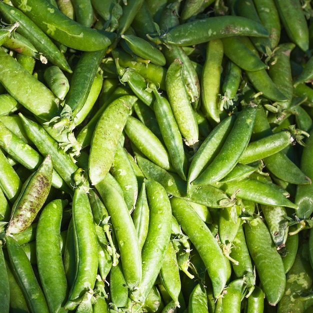 Photo pois sucrés verts frais sur un marché de producteurs