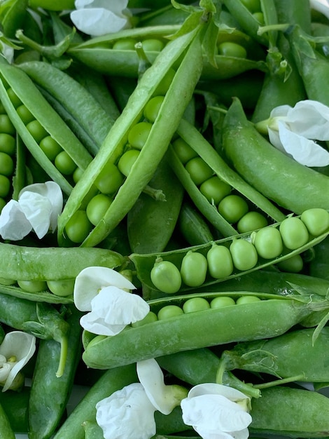 un pois vert en gros plan